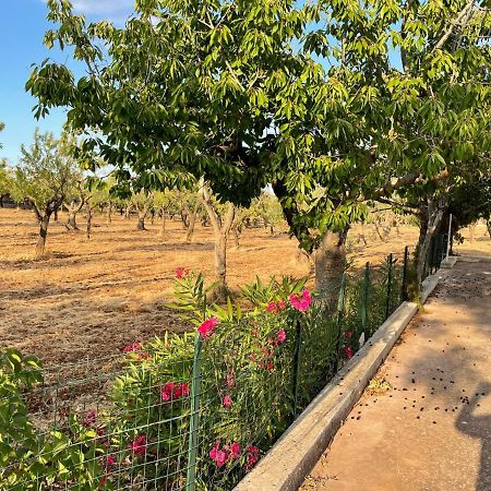 Trulli Ulivi Villa Putignano Dış mekan fotoğraf