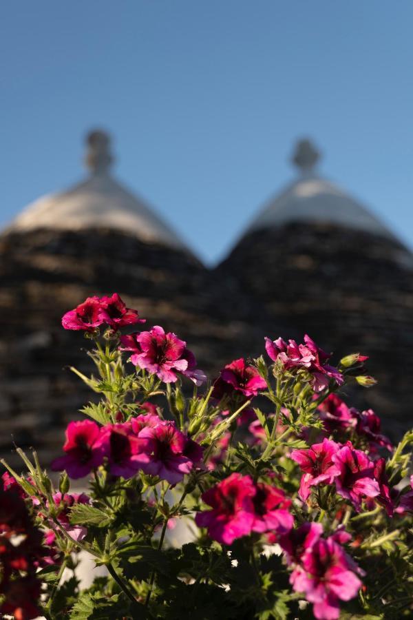 Trulli Ulivi Villa Putignano Dış mekan fotoğraf