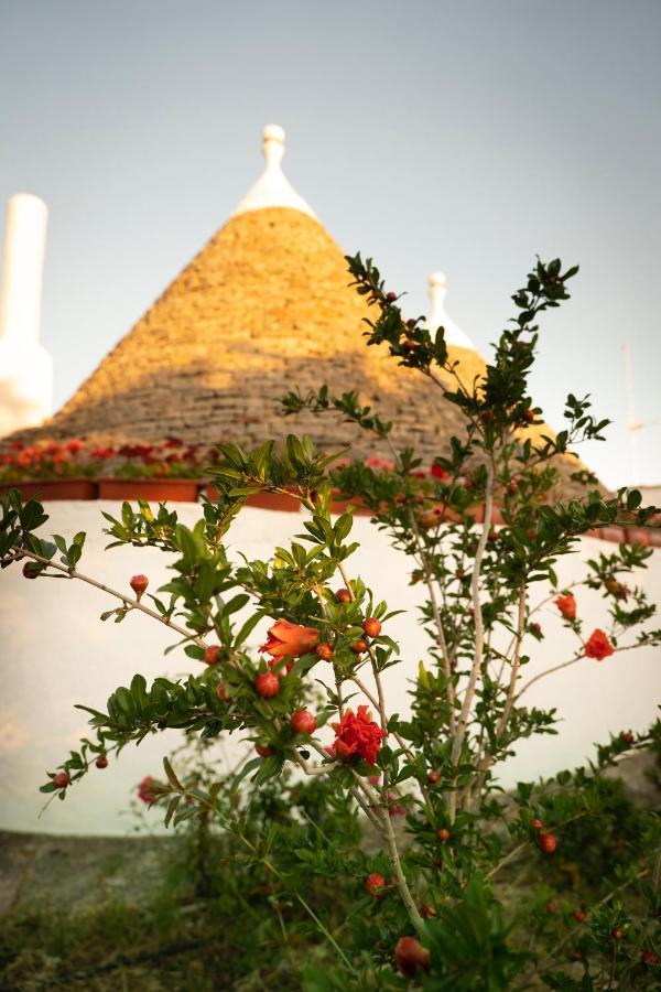 Trulli Ulivi Villa Putignano Dış mekan fotoğraf